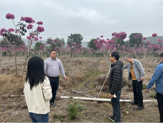 簡報(bào)2023-19期 沙湖鎮(zhèn):黨建引領(lǐng)備春耕 不誤農(nóng)時(shí)不負(fù)春508.png